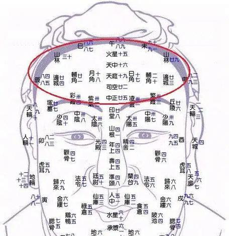 《伊甸碧光镰刀手配队攻略》——打造顶尖战斗阵容