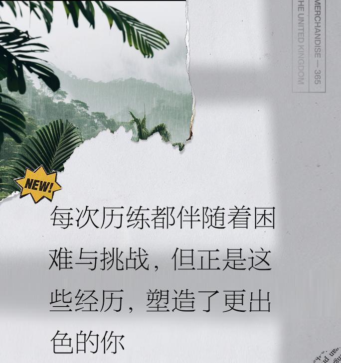 以太吾绘卷正式版历练刷法（轻松刷满历练，提高角色实力）