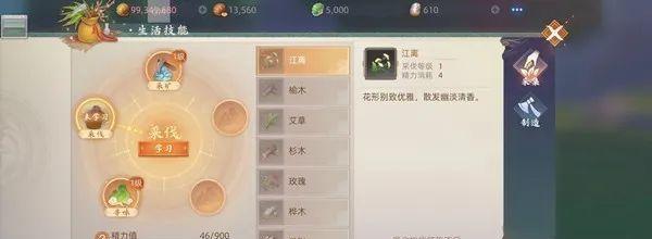玄中记技能攻略（玄中记技能攻略大揭秘，助你踏上修炼之路！）