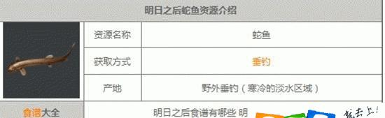 明日之后攻略（技能点数如何合理分配，打造最强生存者）