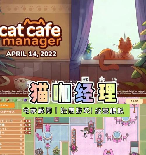 《流浪猫小游戏攻略大揭秘》（成为顶尖宠物保护者的必备秘籍）