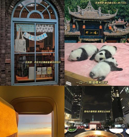 母女旅行游戏攻略（带上妈妈，开启一段难忘的旅行冒险）