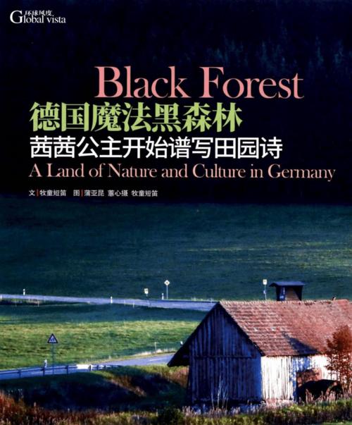 揭秘魔法黑森林游戏中的秘密（探索神秘的黑森林，解锁魔法的奥秘）